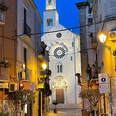 Rosas - La Cementina