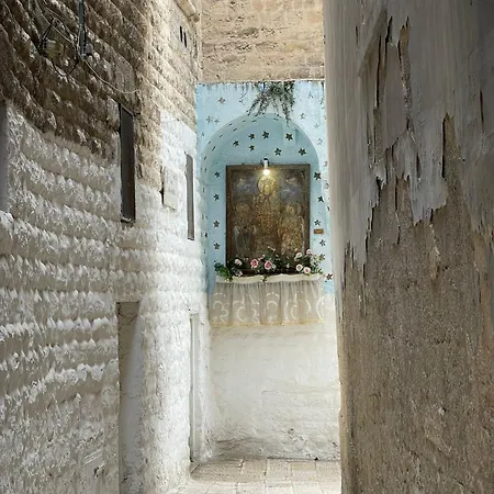 Rosas - La Cementina バーリ